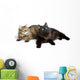 Two Cute Fluffy Cats Wall Decal Design 1