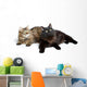 Two Cute Fluffy Cats Wall Decal Design 1