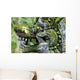 Balinese Stone Statue Wall Decal