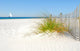 Sand Dune Fence and Wall Decal