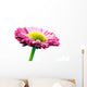 Fresh Pink Daisy Flower Wall Decal Design 2