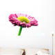 Fresh Pink Daisy Flower Wall Decal Design 2