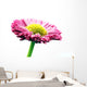 Fresh Pink Daisy Flower Wall Decal Design 2
