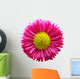 Fresh Pink Daisy Flower Wall Decal Design 1