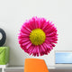 Fresh Pink Daisy Flower Wall Decal Design 1