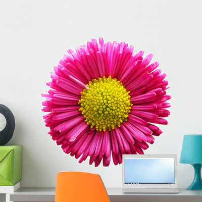 Fresh Pink Daisy Flower Wall Decal Design 1 shown on a wall
