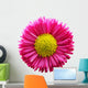 Fresh Pink Daisy Flower Wall Decal Design 1