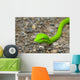 Oriental Whipsnake or Asian Wall Decal