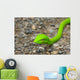 Oriental Whipsnake or Asian Wall Decal