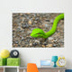 Oriental Whipsnake or Asian Wall Decal