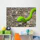 Oriental Whipsnake or Asian Wall Decal