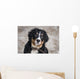 Bernese Mountain Dog Wall Decal