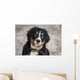 Bernese Mountain Dog Wall Decal