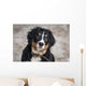 Bernese Mountain Dog Wall Decal