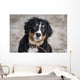 Bernese Mountain Dog Wall Decal