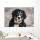 Bernese Mountain Dog Wall Decal