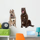 Two Yawning Dogs Breed Wall Decal Sticker Set Wall Decal