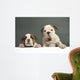 English Bulldog Puppies Wall Decal