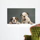 English Bulldog Puppies Wall Decal