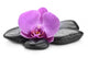 Zen Stones Wall Decal Design 7