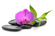 Zen Stones Wall Decal Design 2