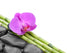 Zen Stones Wall Decal Design 1