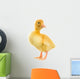 Duckling Wall Decal
