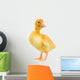 Duckling Wall Decal