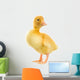 Duckling Wall Decal