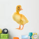 Duckling Wall Decal