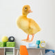 Duckling Wall Decal