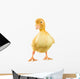 Yellow Duckling Wall Decal