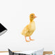 Little Yellow Duckling Wall Decal