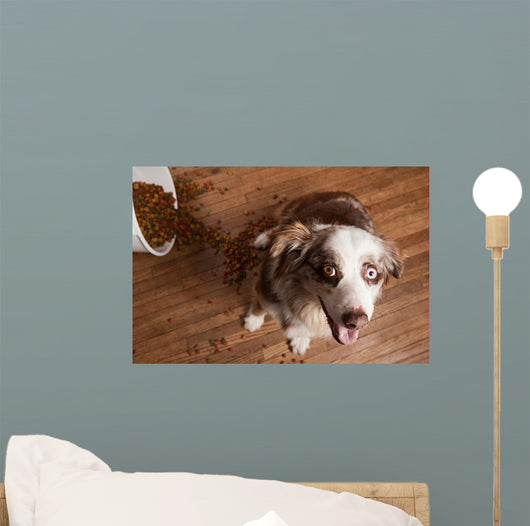 Naughty Dog Wall Decal Design 2