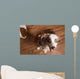 Naughty Dog Wall Decal Design 2