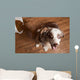 Naughty Dog Wall Decal Design 2