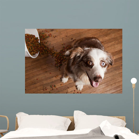 Naughty Dog Wall Decal Design 2