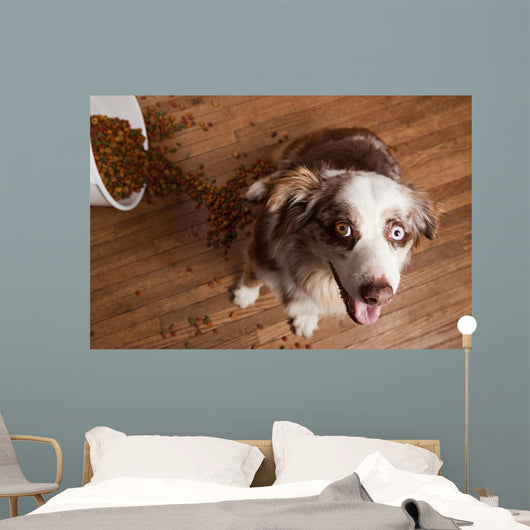 Naughty Dog Wall Decal Design 2