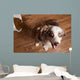 Naughty Dog Wall Decal Design 2