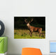 Red Deer Wall Decal