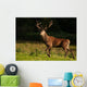 Red Deer Wall Decal