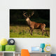 Red Deer Wall Decal