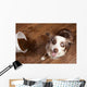 Naughty Dog Wall Decal Design 1