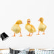 Three Yellow Ducklings Wall Stickers Wall Decal