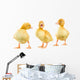 Three Yellow Ducklings Wall Stickers Wall Decal