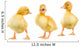 Three Yellow Ducklings Wall Stickers Wall Decal
