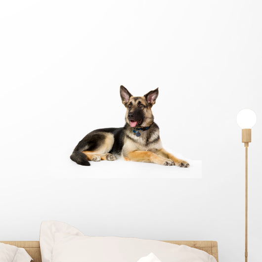 German Shepherd Dog Wall Decal Design 1