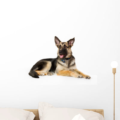 German Shepherd Dog Wall Decal Design 1 shown on a wall