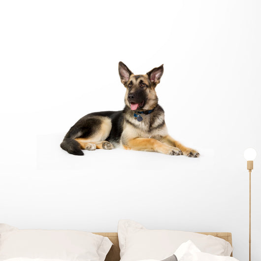 German Shepherd Dog Wall Decal Design 1
