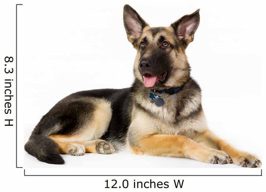 German Shepherd Dog Wall Decal Design 1